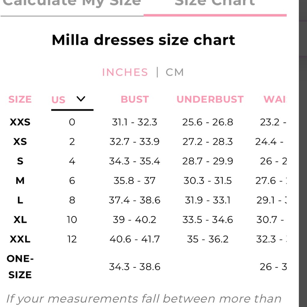 Milla Ravishing blue hydrangea corset maxi dress, Garden of Eden - Picture 12 of 14